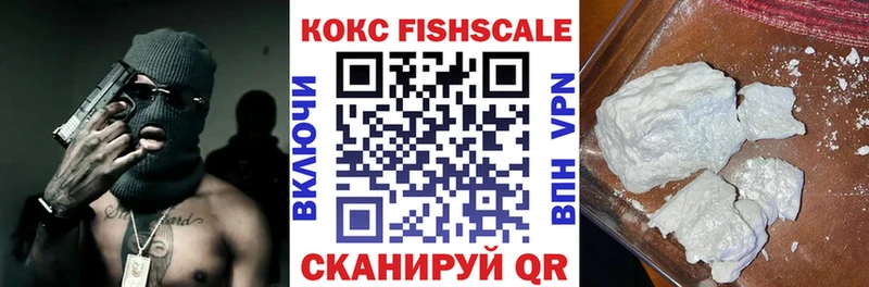Купить закладки  Майкоп  Cocaine Fish Scale 