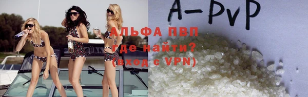 сатива Беломорск
