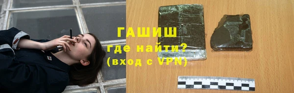 сатива Беломорск