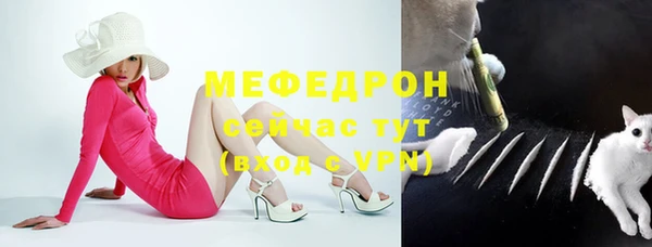сатива Беломорск