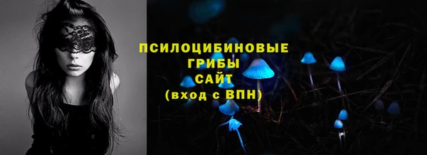 марки nbome Белокуриха