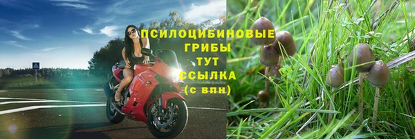 MDMA Premium VHQ Белоозёрский