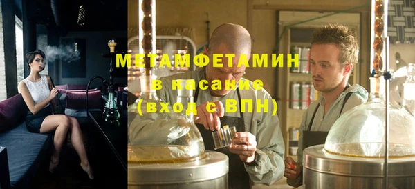 сатива Беломорск