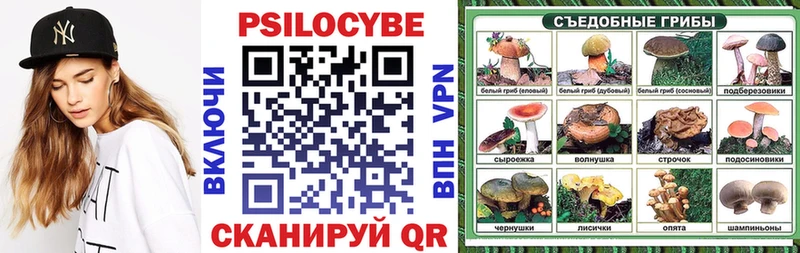 Купить где  Майкоп  Галлюциногенные грибы прущие грибы 